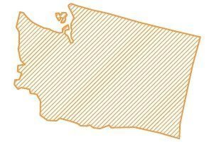 Washington Map Icon